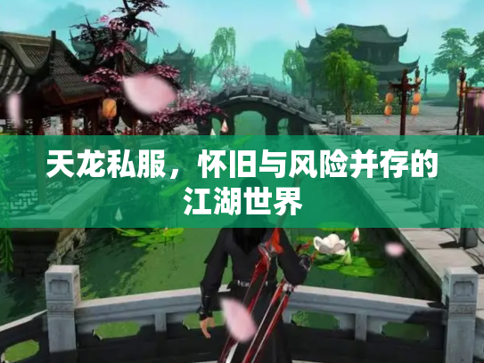 天龙私服，怀旧与风险并存的江湖世界
