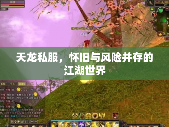天龙私服，怀旧与风险并存的江湖世界