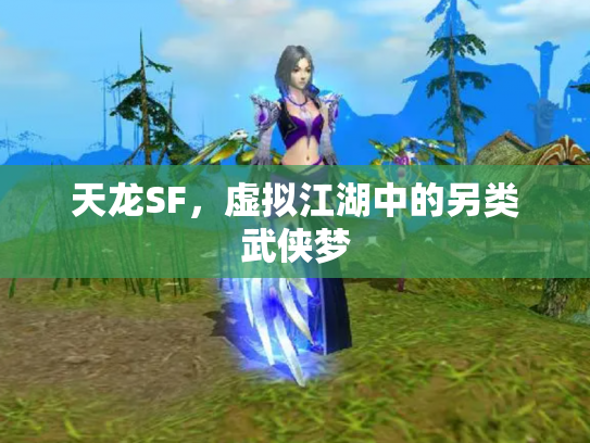 天龙SF，虚拟江湖中的另类武侠梦