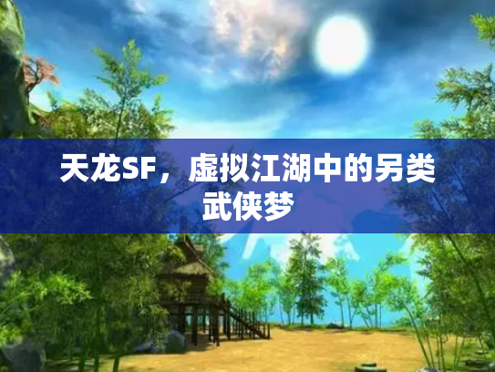 天龙SF，虚拟江湖中的另类武侠梦