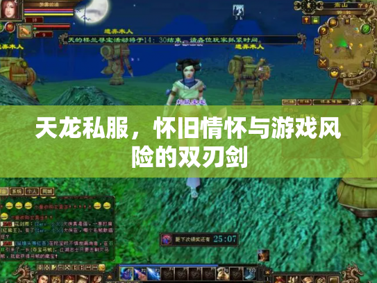 天龙私服，怀旧情怀与游戏风险的双刃剑