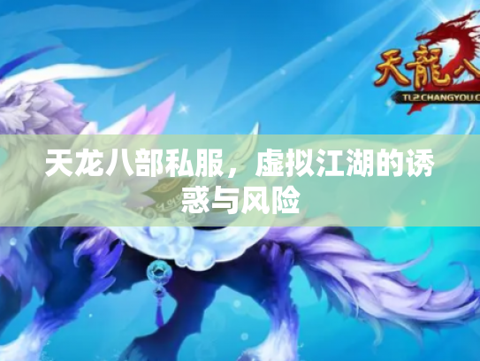 天龙八部私服，虚拟江湖的诱惑与风险