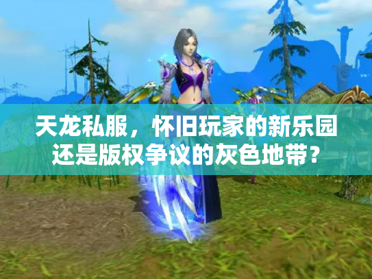 天龙私服，怀旧玩家的新乐园还是版权争议的灰色地带？