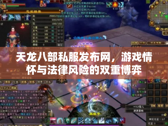 天龙八部私服发布网，游戏情怀与法律风险的双重博弈