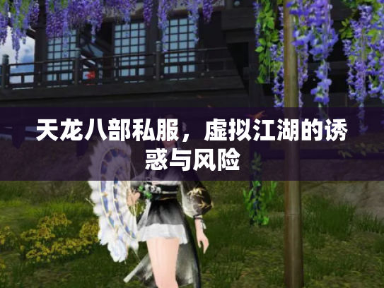 天龙八部私服，虚拟江湖的诱惑与风险