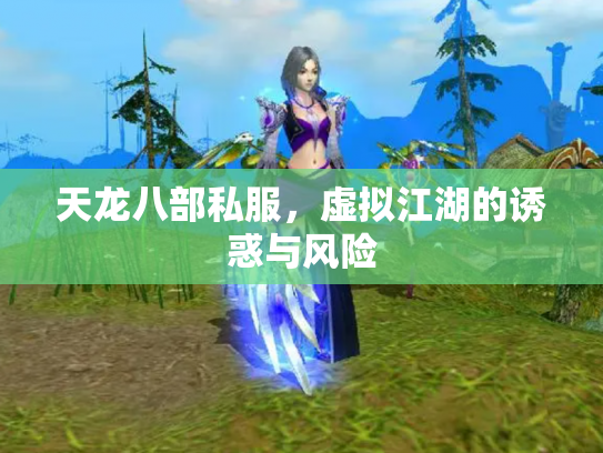 天龙八部私服，虚拟江湖的诱惑与风险