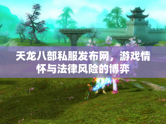 天龙八部私服发布网，游戏情怀与法律风险的博弈