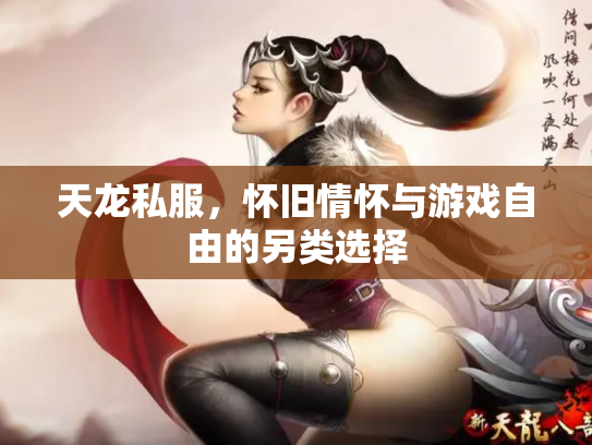 天龙私服，怀旧情怀与游戏自由的另类选择