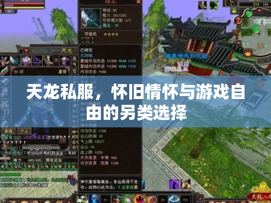 天龙私服，怀旧情怀与游戏自由的另类选择