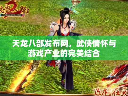 天龙八部发布网，武侠情怀与游戏产业的完美结合