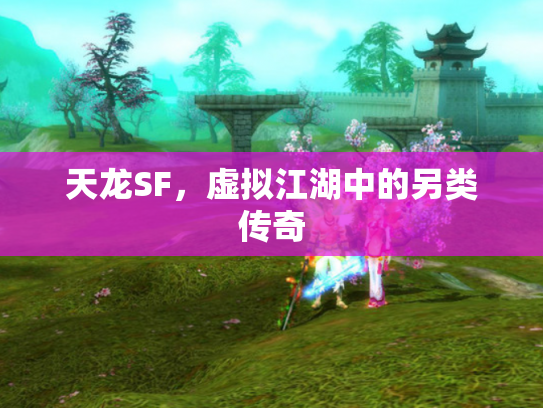 天龙SF，虚拟江湖中的另类传奇