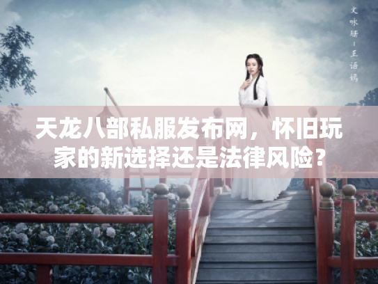 天龙八部私服发布网，怀旧玩家的新选择还是法律风险？