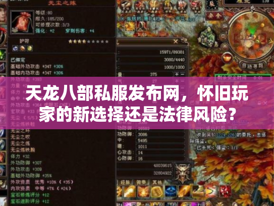 天龙八部私服发布网，怀旧玩家的新选择还是法律风险？