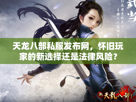 天龙八部私服发布网，怀旧玩家的新选择还是法律风险？