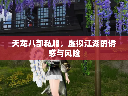 天龙八部私服，虚拟江湖的诱惑与风险