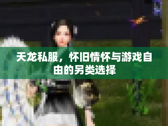 天龙私服，怀旧情怀与游戏自由的另类选择