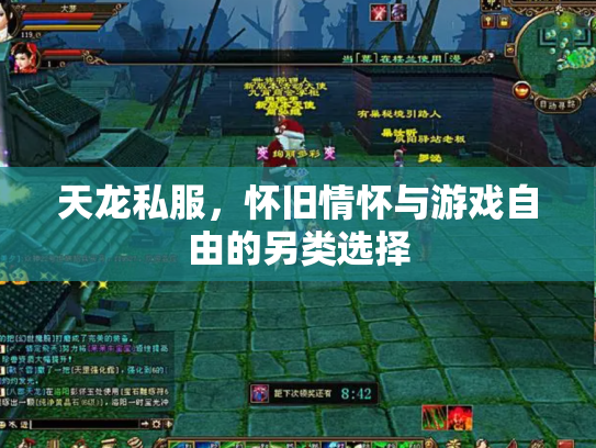 天龙私服，怀旧情怀与游戏自由的另类选择