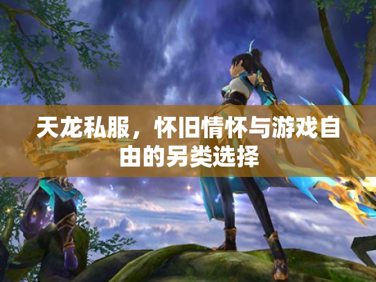 天龙私服，怀旧情怀与游戏自由的另类选择