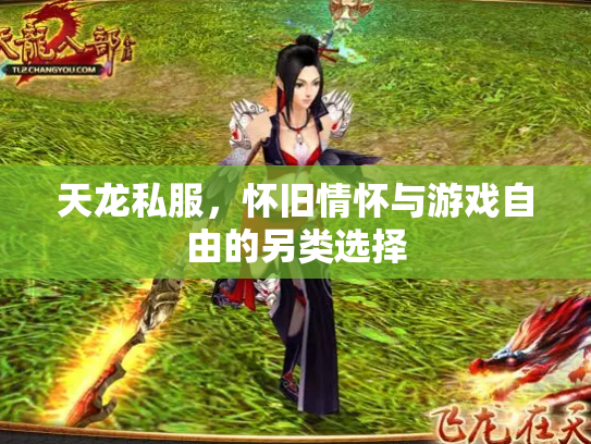 天龙私服，怀旧情怀与游戏自由的另类选择