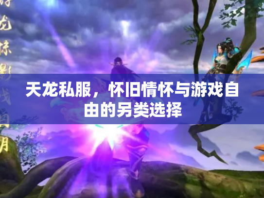 天龙私服，怀旧情怀与游戏自由的另类选择