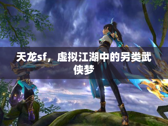 天龙sf，虚拟江湖中的另类武侠梦