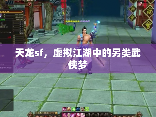 天龙sf，虚拟江湖中的另类武侠梦