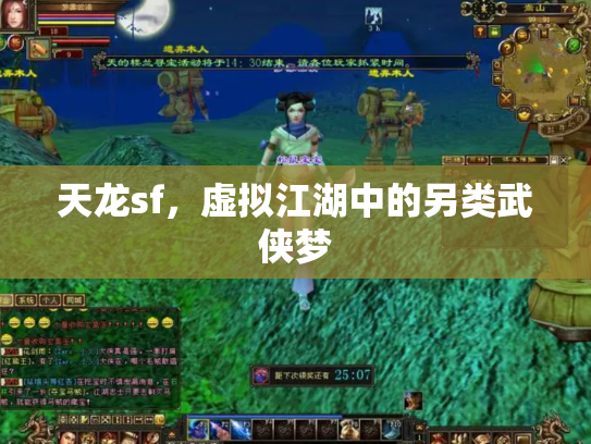 天龙sf，虚拟江湖中的另类武侠梦