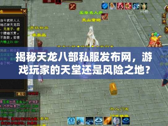 揭秘天龙八部私服发布网，游戏玩家的天堂还是风险之地？