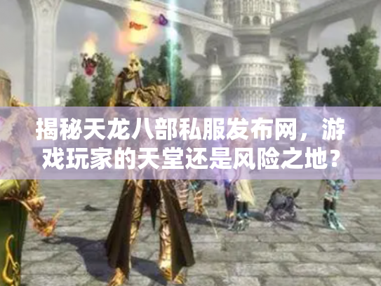 揭秘天龙八部私服发布网，游戏玩家的天堂还是风险之地？