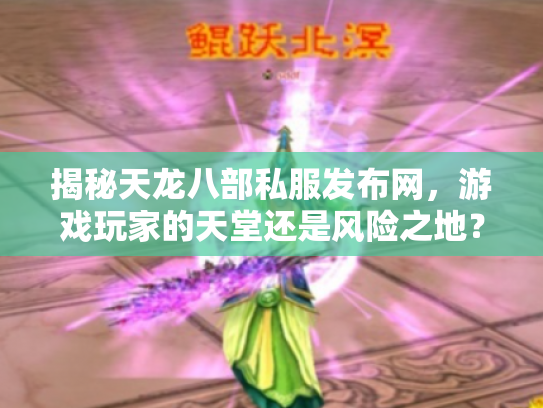揭秘天龙八部私服发布网，游戏玩家的天堂还是风险之地？