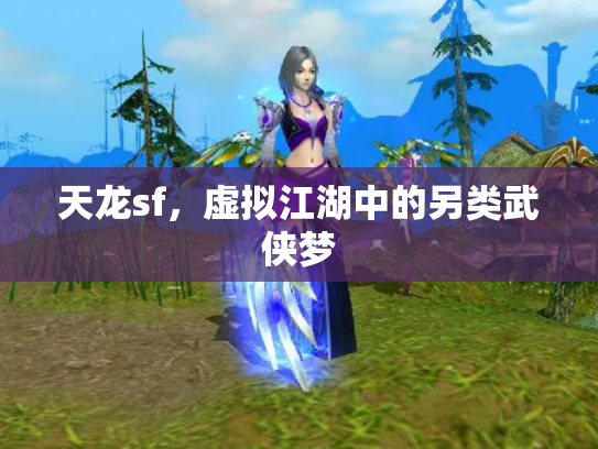 天龙sf，虚拟江湖中的另类武侠梦