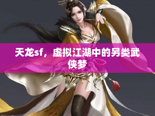 天龙sf，虚拟江湖中的另类武侠梦