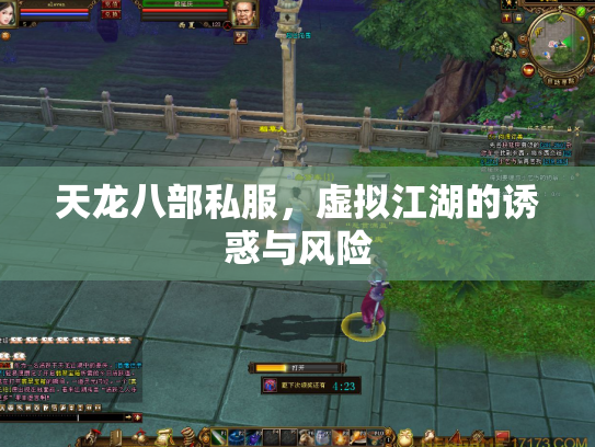 天龙八部私服，虚拟江湖的诱惑与风险