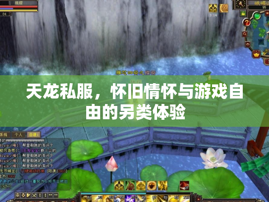 天龙私服，怀旧情怀与游戏自由的另类体验