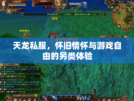 天龙私服，怀旧情怀与游戏自由的另类体验