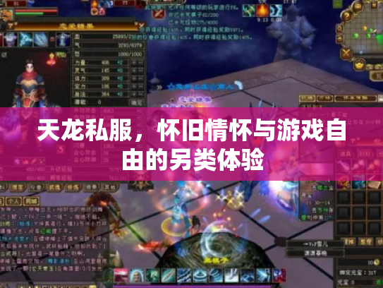 天龙私服，怀旧情怀与游戏自由的另类体验