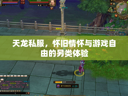 天龙私服，怀旧情怀与游戏自由的另类体验
