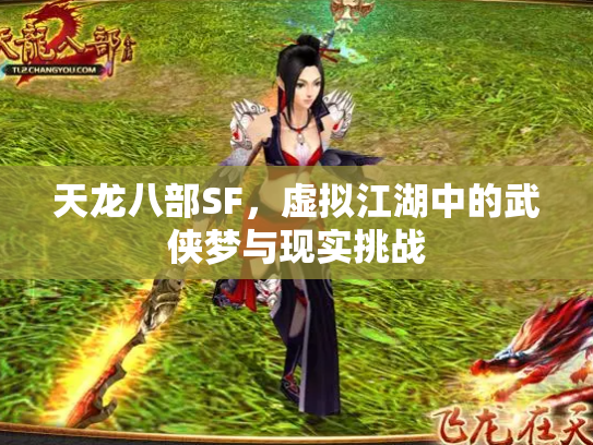 天龙八部SF，虚拟江湖中的武侠梦与现实挑战