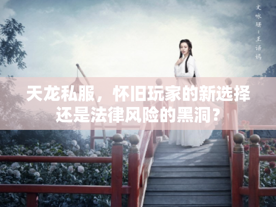 天龙私服，怀旧玩家的新选择还是法律风险的黑洞？