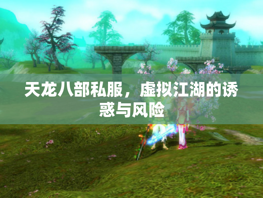 天龙八部私服，虚拟江湖的诱惑与风险