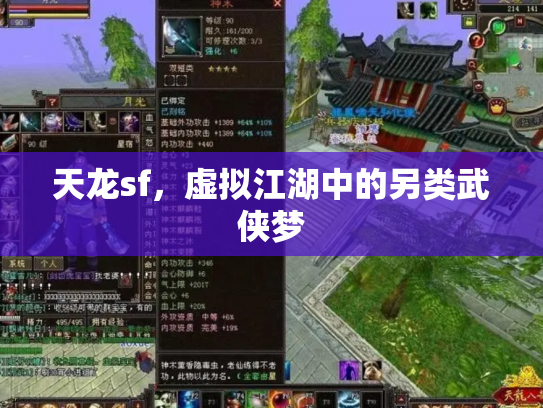 天龙sf，虚拟江湖中的另类武侠梦