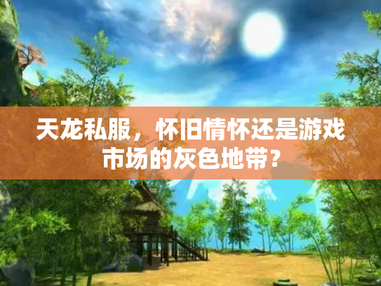 天龙私服，怀旧情怀还是游戏市场的灰色地带？
