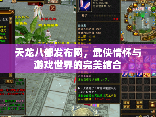 天龙八部发布网，武侠情怀与游戏世界的完美结合
