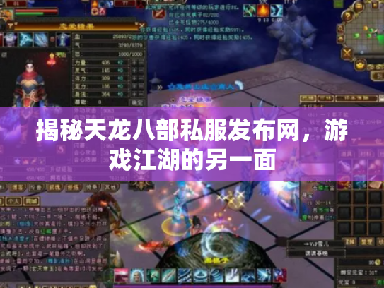 揭秘天龙八部私服发布网，游戏江湖的另一面