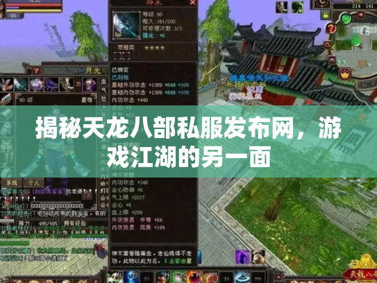 揭秘天龙八部私服发布网，游戏江湖的另一面