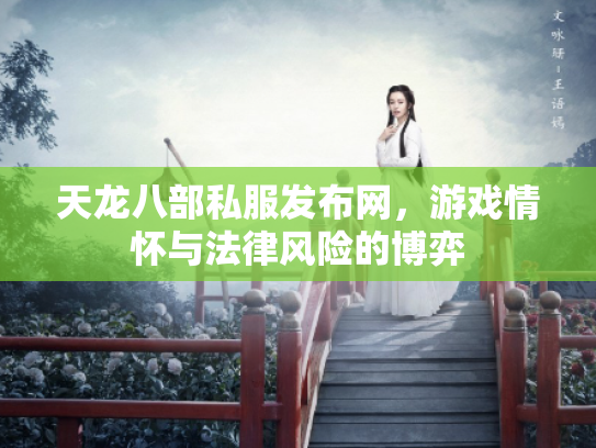 天龙八部私服发布网，游戏情怀与法律风险的博弈