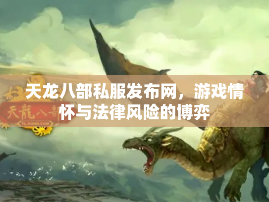 天龙八部私服发布网，游戏情怀与法律风险的博弈