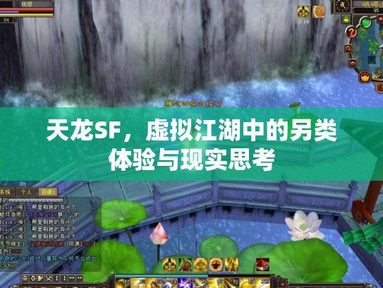 天龙SF，虚拟江湖中的另类体验与现实思考