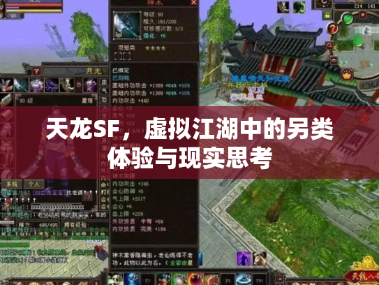 天龙SF，虚拟江湖中的另类体验与现实思考