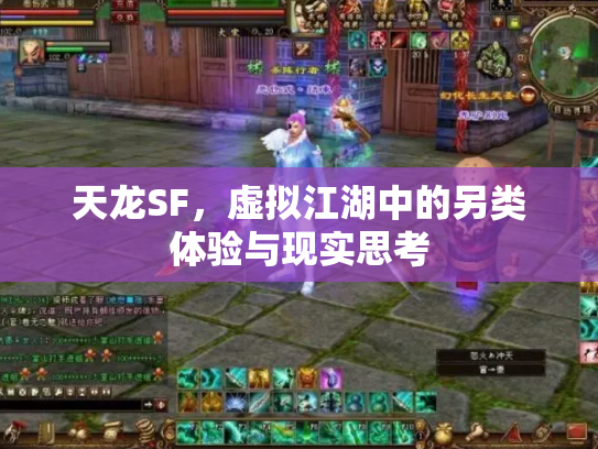天龙SF，虚拟江湖中的另类体验与现实思考